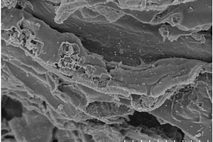 二硫化钼纳米片/多孔石墨化生物炭复合材料及其制备方法和应用