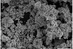 微纳米银/高分子导电复合材料及其制备方法与应用