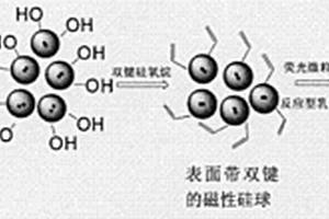 磁性荧光复合材料及制备方法与应用