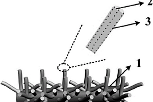 碳量子点-聚苯胺/碳纤维一体化复合材料及其制备方法和应用
