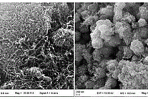 高效催化甲烷的碳纳米管－氧化锰复合材料及其制备方法