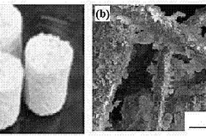 竹纤维/纳米磷灰石复合材料及其制备方法