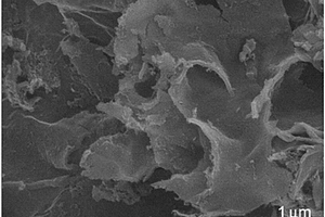 碳纳米片包覆纳米硅复合材料的原位制备方法