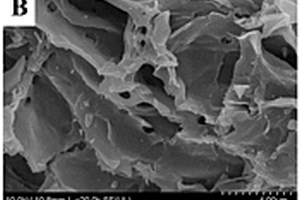 类石墨烯结构生物炭负载纳米零价铁复合材料的制法及其应用