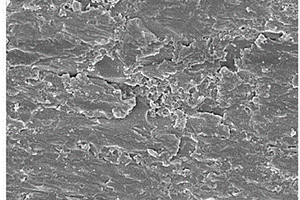 各向异性的改性石墨烯环氧树脂复合材料的制备方法