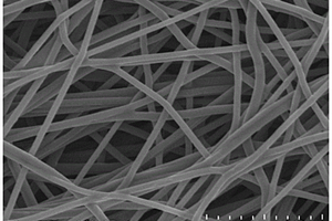磷化钼/碳纤维复合材料的制备方法及应用