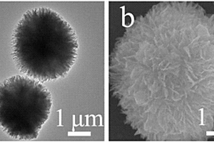 由纳米片形成的C掺杂花球状二氧化钛/二硫化钼复合材料及其制备方法