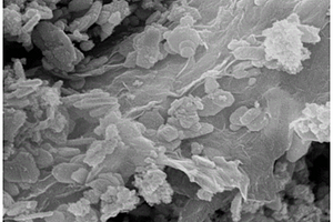 高效石墨烯基铋系纳米复合材料及其制备方法