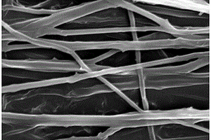 碳纳米管定向增强的纳米PVA纤维复合材料及其制备方法