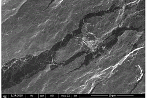 碳化细菌纤维素/氮化碳复合材料及其制备方法