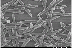 纳米二氧化钛-CuInSe<Sub>2</Sub>复合材料及其制备方法