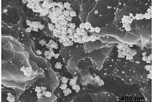 红磷/金纳米花复合材料的制备方法及其应用