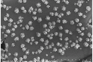 泡沫镍负载刺猬状金纳米颗粒复合材料及其制备方法和应用