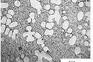 原位Mg2Si颗粒增强Mg-Al-Mn-Zn复合材料半固态浆料的制备方法
