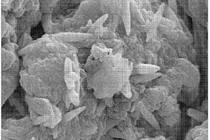 壳聚糖载铜-竹炭的复合材料的制备及其去除饮用水中微污染物方法