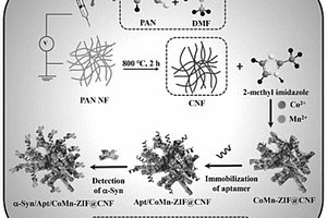 CoMn-ZIF@CNF纳米复合材料及其制备方法、适体传感器