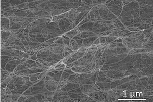双向驱动碳纳米管螺旋纤维复合材料结构的制备方法