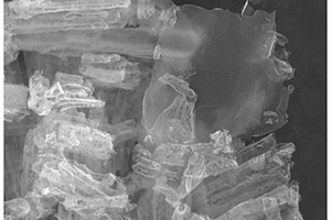 硫掺杂多孔管束状氮化碳/石墨烯复合材料的制备方法及其应用