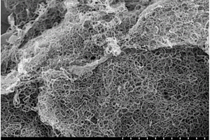 交联状碳纤维包覆膨胀石墨复合材料的制备方法