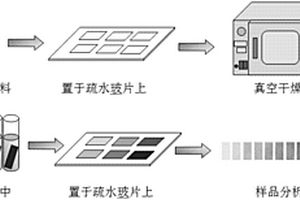 银–三聚氰胺纳米复合材料试纸的制备及其甲醛吸附与速测应用