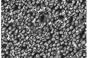 电腐蚀调控碳纤维增强复合材料表面结构与金属钎焊的方法