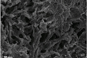 多孔的硫化钴与氮掺杂碳复合材料及其制备方法和应用