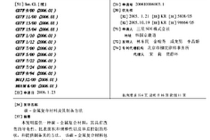 碳-金属复合材料及其制备方法