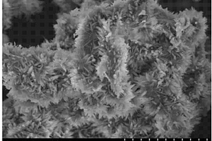 二硫化钼/二氧化钛纳米刺分级结构复合材料的制备方法