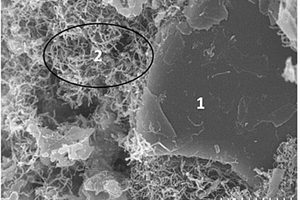纳米硅碳复合材料及其制备方法
