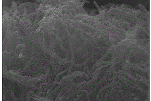纳米级碳硫复合材料及其制备方法