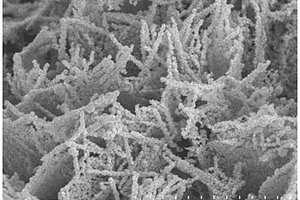 铜钴硫纳米片阵列/钼箔复合材料、制备方法及其应用