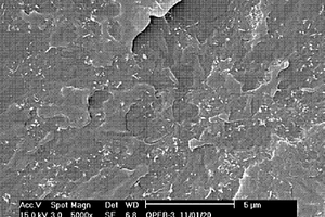 碳纳米管/聚烯烃导电复合材料及制备方法