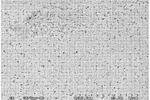 纳米TiC0.5颗粒原位增强Cu(Al)复合材料及其制备方法