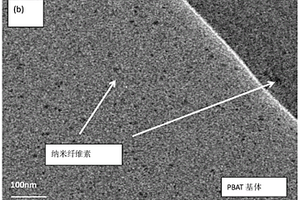 聚己二酸对苯二甲酸丁二醇酯/纳米纤维素可降解复合材料及其制备方法