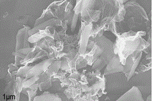 磷酸铁锂纳米棒/石墨烯复合材料及其制备方法和应用