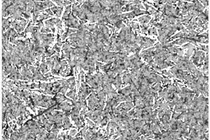 硼酸铝晶须增强锌基合金复合材料及其制备方法