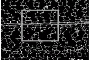 微孔植物纤维复合材料及其制备方法