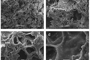 介孔硅酸钙镁/小麦蛋白复合材料及其制备方法和应用