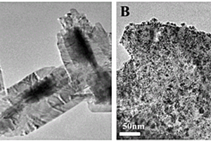 铂纳米粒子/氧化铜片复合材料及其制备方法与应用