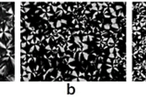 聚乳酸/有机插层改性的埃洛石复合材料及其制备方法