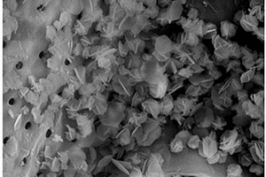 木材-壳聚糖/植酸钠/纳米氢氧化镁复合材料及其制备方法