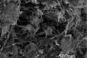 尼龙/碳纳米管阻燃导热复合材料及其制备方法
