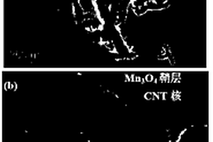 核鞘纳米电缆结构的碳纳米管/Mn<Sub>3</Sub>O<Sub>4</Sub>复合材料及其制备方法