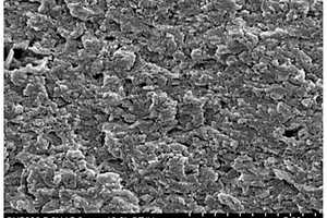 高性能多功能醋酸纤维素纳米复合材料及其制备方法与应用