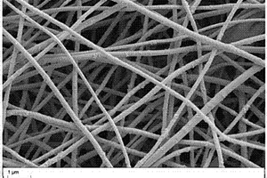 利用静电纺丝技术制备的无机纳米颗粒复合材料及其制法与作为隔离膜应用于电池中