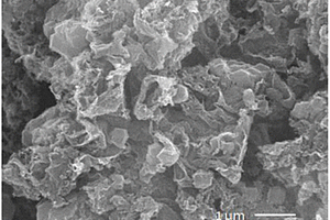 氮掺杂碳颗粒/石墨化碳氮复合材料的制备方法及应用