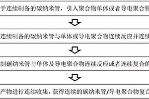 碳纳米管/导电聚合物复合材料的制备方法及装置