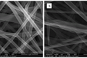 功能组分纵向梯度分布的电纺碳纳米纤维复合材料及其制备方法和在钒电池中的应用