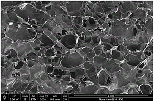 具有抑菌作用的鲍鱼壳粉/ZnO复合材料掺杂的智能水凝胶伤口敷料的制备方法