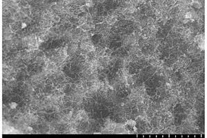 三维石墨烯/碳纳米管复合材料及其制备方法
